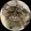 kittenmafia
